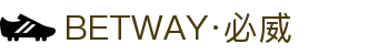 BETWAY·必威(西汉姆联)唯一官方网站